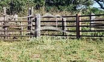 Imagem 2: ABAIXOU!!VENDO FAZENDA NA REGIÃO DE IBIAI MG, PARA DUPLA APTIDÃO!!!