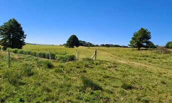 Imagem 3: Sitio - Bairro Saiqui