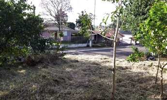 Imagem 4: Terreno bairro Petrópolis Novo Hamburgo