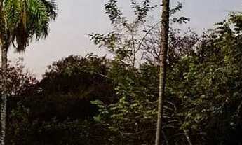 Imagem 5: Florais Itália - Unidade Extremante Plana