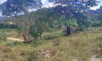 Imagem 3: Excelente terreno