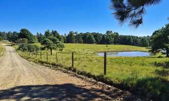 Imagem 2: Sitio - Bairro Saiqui