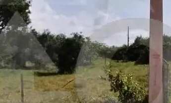 Imagem 4: Terreno na Zona de expansão, no bairro Mosqueiro próximo ao Clube Society de Matapoã em A