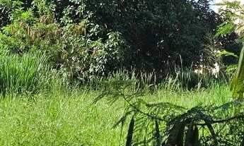 Imagem 4: Terreno Brazmadeira atrás Globoaves