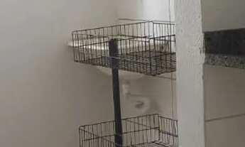 Imagem 7: Alugo excelente 2 quartos térreo 900,00