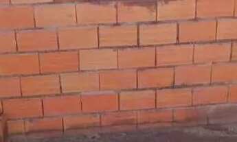 Imagem 5: Casa 3 cômodo Casa com 1 dormitório