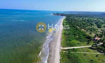 Imagem 2: Terreno beira-mar com 46.000m² na Ilha da Crôa Barra de Santo Antônio