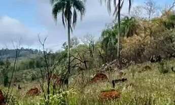 Imagem 2: O ESPAÇO PERFEITO PARA CONSTRUIR OU INVESTIR, EM UMA ÁREA CERCADA PELA NATUREZA! SAIBA MAI