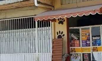 Imagem: Casa em Avenida Manoel Luciano Pio - Belvedere