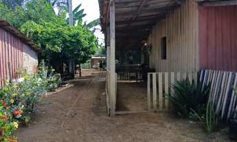 Imagem 7: Sítio Estrada do Puru Puru