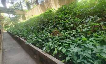 Imagem 4: Apartamento com 2 quartos à venda, 54 m² por R$ 240.000 - Fátima - Niterói/RJ