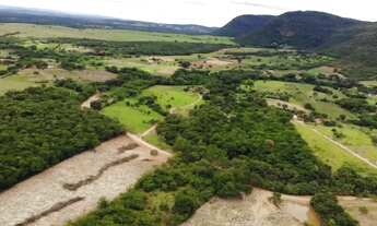 Imagem 2: Vendo excelentes Chácaras a partir de 1.000 m², topografia plana, terra de cultivo