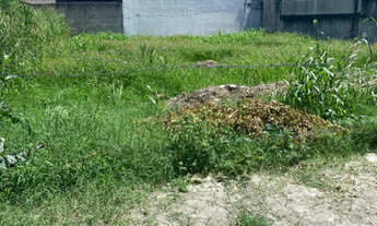 Imagem 2: Terreno Flamboyant 1 / 480m2 ( Próximo Praça