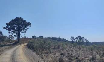 Imagem 6: Terreno Rural em Campo Alegre - SC