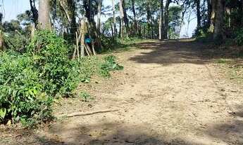 Imagem 7: Chacará em Juquitiba