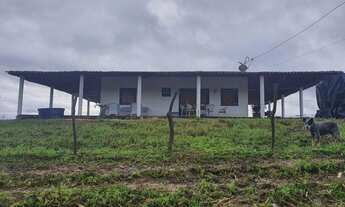 Imagem: Vendo sitio 6,7 hectares em Porto Calvo