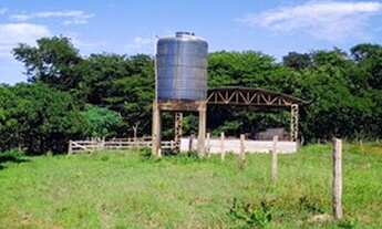 Imagem 6: Venda Sítio - 24 hectares - Casa sede e de Caseiro - Nossa Senhora do Livramento - MT