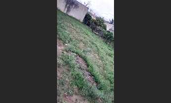 Imagem: Terreno - Jardim Nova São Carlos