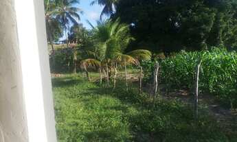 Imagem 3: Sítio a 6 km Praia Caueira