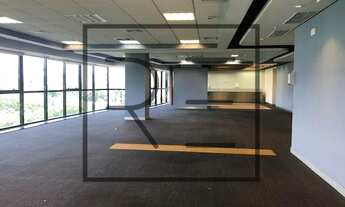 Imagem 7: Sala - Nova Campinas - Campinas