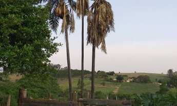 Imagem 6: CHÁCARA EM MERIDIANO