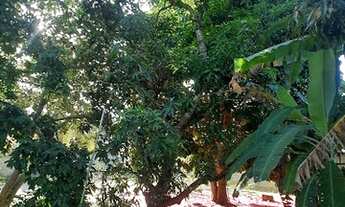 Imagem 7: Casa com 3 dormitórios à venda, 147 m² por R$ 320.000,00 - Pirajuía - Salinas da Margarida