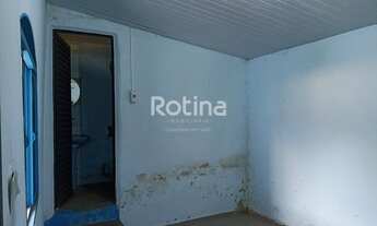 Imagem 5: Colônia à venda, 3 quartos, 3 vagas, Martins - Uberlândia/MG