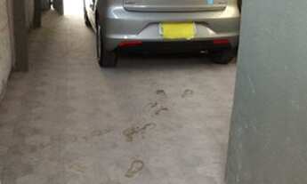 Imagem: Aluga Casa 1 dormitório com garagem