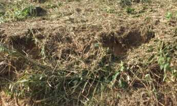 Imagem 5: Venda Terreno / lote com venda por R$25.000