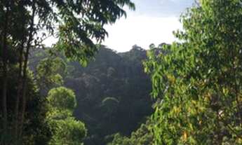 Imagem 5: Sítio com nascente em Santa Leopoldina