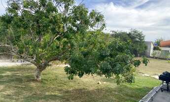 Imagem 6: Sítio Chácara com venda por R$500.000