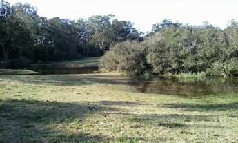 Imagem 5: Lindo sítio 6000 metros quadrados em Viamão