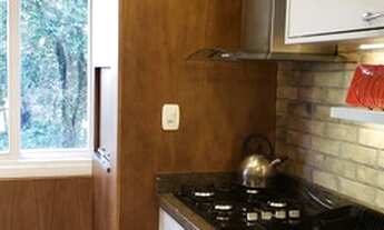 Imagem 4: CANELA - Padrão - Centro