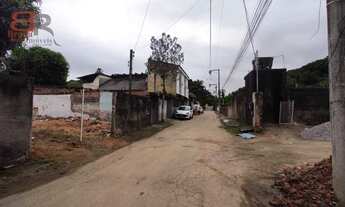 Imagem 4: Terreno - Figueira - Mage