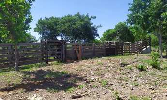 Imagem 4: VENDO FAZENDA 110 ALQUEIRES REGIÃO RIO SONO