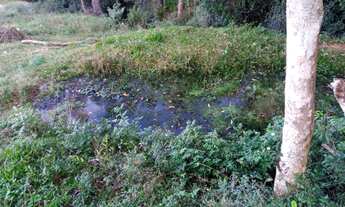 Imagem 3: TERRENO EM FAZENDA FIALHO - TAQUARA