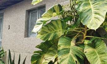 Imagem: 3 casas para vende no bairro nordeste