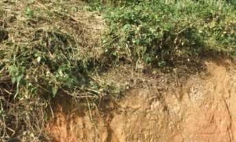 Imagem 4: Venda Terreno / lote com venda por R$25.000