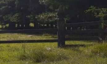 Imagem 2: VENDO FAZENDA DE 1.490 HECTARES NO MUNICÍPIO DE PINHEIRO MACHADO RS