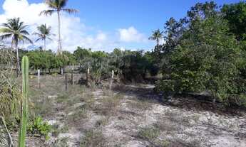 Imagem 5: Terreno Praia do Grauçá