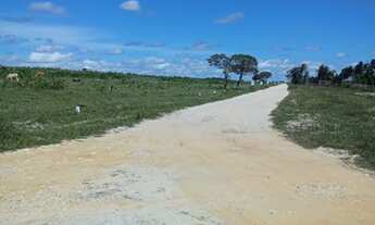 Imagem: Loteamento Lagoas Do Giral A 990 Metros