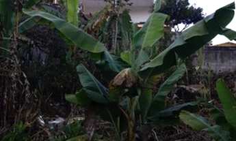 Imagem 6: Vendo excelente terreno semiplano na Tijuca em Teresópolis!