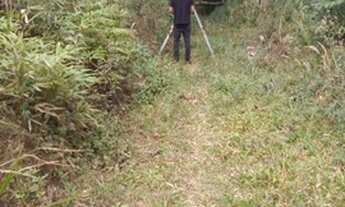 Imagem: Lote na avenida 20 mil.rrais 250 metro