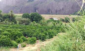 Imagem 6: Sítio na região de Lajinha, município de Pancas ES com 16 hectares