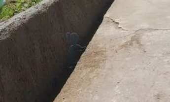 Imagem 4: Terreno Padrão em Ribeirão Preto