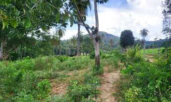 Imagem 4: Terreno com rio nos fundos