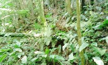 Imagem: 5 mil mts casa nova super nacsente 249 mil