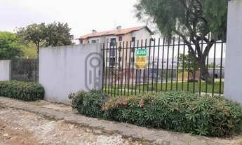 Imagem 3: Apartamentos - Locação - Alto Tarumã - Cod. 650