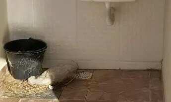 Imagem 5: CASA FAROL DE PONTA NEGRA