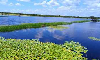 Imagem: FAZENDA RETIRO